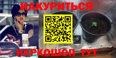 круглые Пушкино
