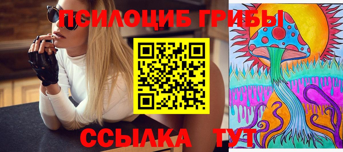 Галлюциногенные грибы GOLDEN TEACHER Рубцовск
